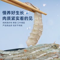  xianchi/鲜驰 无抗 白虾