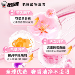 老管家 除垢 洗衣机槽清洁剂 125g 12袋