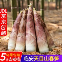 时味季 浙江天目雷笋 3斤 10根左右