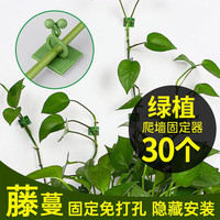 花沃里 绿萝固定器 中号30个 绿植免钉贴墙自粘式挂钩