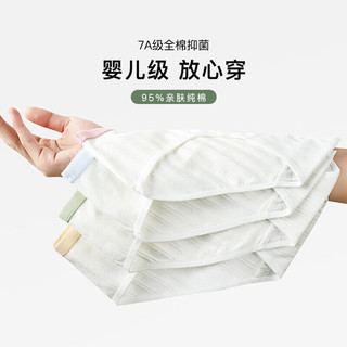  FENTENG/芬腾 抗菌 女士内裤