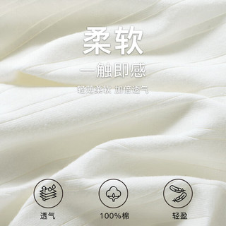  FENTENG/芬腾 抗菌 女士内裤