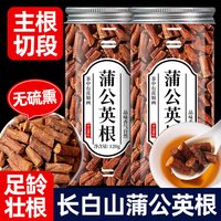 早元 蒲公英根茶正品纯长白山新茶干非野生天然特级泡水喝的功效和作用 蒲公英根·拒绝熏硫