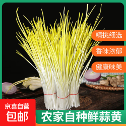 农家自种新鲜蒜黄现割足称蔬菜 尝鲜净重300g