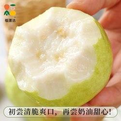 福瑞达 冰淇淋口感 番石榴