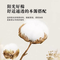  Fazeya/彩羊 新疆棉花 床上四件套
