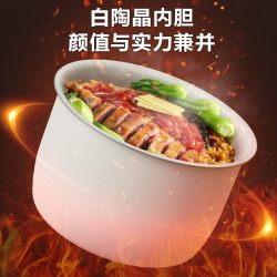 苏泊尔 多功能 电压力锅