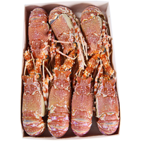  蟹滋味 可生食 玫瑰龙