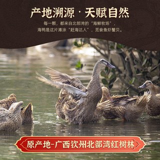  红榄岛 流油 烤海鸭蛋