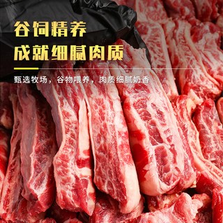  北乐岛 谷饲 牛肋条雪花牛肉