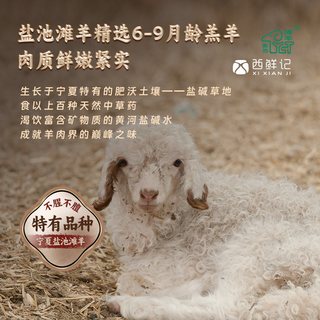  XI XIAN JI/西鲜记 四吃 盐池滩羊礼盒 111g