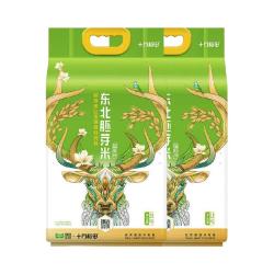 十月稻田 胚芽米 保留胚芽 大米  5kgx2