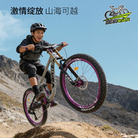  WST/威赛特 蓝图9速 青少年软尾山地自行车+双肩+辐条轮+大礼包