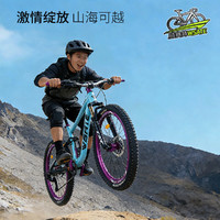  WST/威赛特 蓝图9速 青少年软尾山地自行车+大礼包 海洋蓝-单肩-辐条轮+大礼包 蓝图9速【线刹】120响