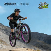  WST/威赛特 蓝图8速 青少年软尾山地自行车+大礼包 板岩灰-单肩-辐条轮+大礼包 蓝图8速【线刹】120响