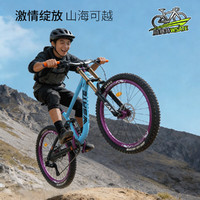  WST/威赛特 油刹 软尾山地自行车+双肩+辐条轮+大礼包