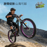  WST/威赛特 蓝图8速 青少年软尾山地自行车+双肩+辐条轮