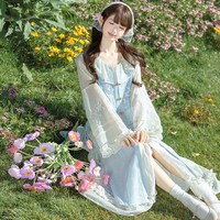 重回汉唐 初夏有风 女士汉洋折衷改良连衣裙 长比甲