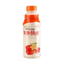 哇哈哈 营养快线 含乳饮料 500g*12瓶