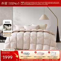 水星家纺 羽绒被子 95%白鹅绒被 鹅绒被秋冬保暖被子冬季被芯 95%白鹅绒冬被-吉光 200cm*230cm