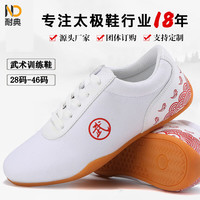 耐典 功夫鞋武术鞋男女软牛筋底帆布鞋太极练功鞋儿童跆拳道鞋白色39