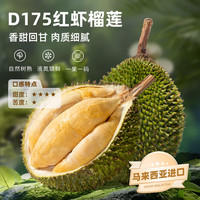  Dr. Surprise/市舶士 液氮冷冻 榴莲