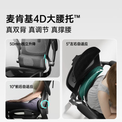 黑白调 P2 Pro 二代 人体工学椅 曜黑 标配款