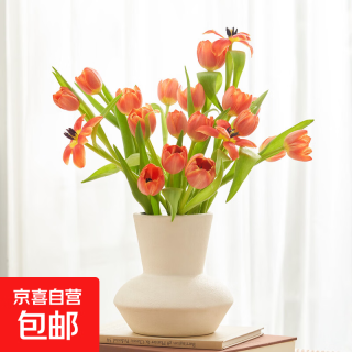 郁金香鲜花 20枝 随机色