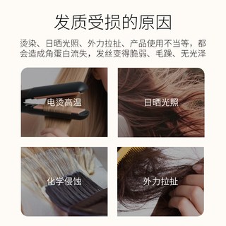  FORVIL 修护控油去屑 洗发水