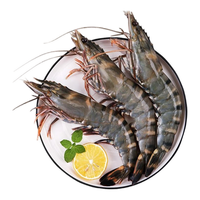  海速达 鲜活急冻 黑虎虾 23-25只 1斤(净重)