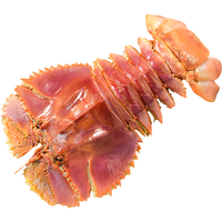  森农乐 鲜活 琵琶虾