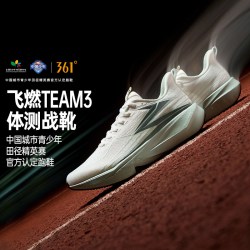 361°  飞燃team 3.0 男款竞速减震跑鞋 672612233