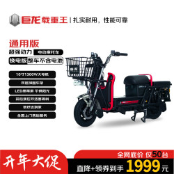 JULONG 巨龙（JULONG）电动摩托车 载重王通用版金马金牛