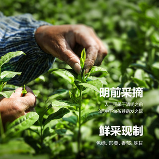  九宇 特级明前 有机龙井茶