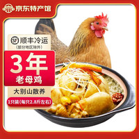 缘琳山 大别山散养老母鸡 2.8斤