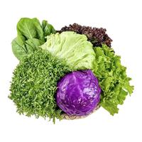 绿食者 新鲜混合蔬果 蔬菜沙拉组合