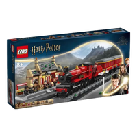  LEGO/乐高 哈利波特系列 拼搭积木玩具模型