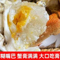  PANJINCRAB/盘锦河蟹 鲜活