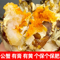  PANJINCRAB/盘锦河蟹 鲜活 公蟹丨满膏蟹2.4-2.6两【2斤】7-8只