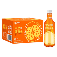  有丛气 发酵气泡 柚子单丛康普茶