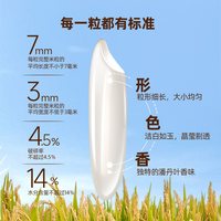  孟乍隆  泰国茉莉香米