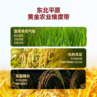  御香龙品 新米原粮 东北大米