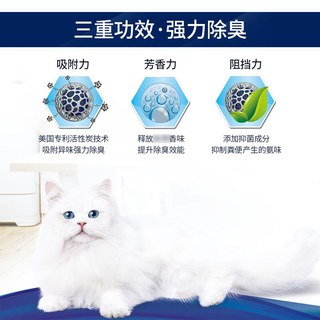 EVER CLEAN/铂钻 活性炭 膨润土猫砂