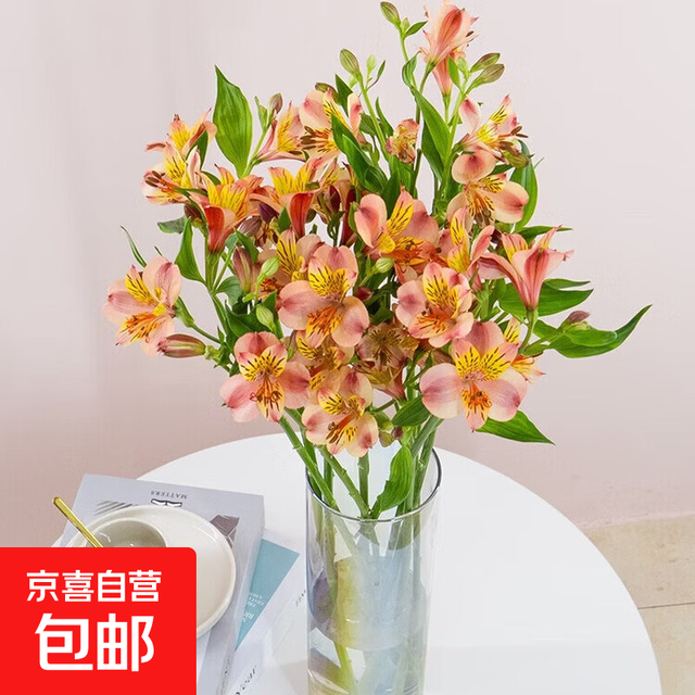 今日必买：云南鲜花 多头水仙百合 10枝 随机色 鲜花速递全国