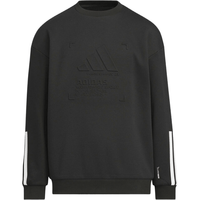 adidas/阿迪达斯 保暖加绒 男中大童卫衣