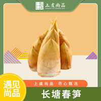 三侬公社 上虞尚品长塘春笋 净重2500g