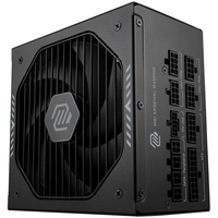 MSI/微星 金牌全模组 电源 850W