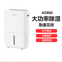 Deye 除湿机家用 DYD-L48A3 地下室 别墅抽湿机大功率 工业除湿器