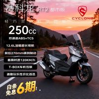 移动端、京东百亿补贴：赛科龙 2025款RT2 运动踏板250水冷摩托车 都市版/皓影灰