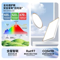  ARROW/箭牌照明 简约现代 吸顶灯